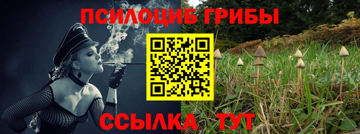 где купить наркоту  Псилоцибиновые грибы прущие грибы  Вход с VPN  Набережные Челны 