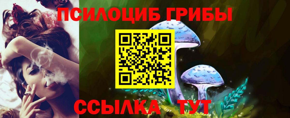Псилоцибиновые грибы мицелий Набережные Челны